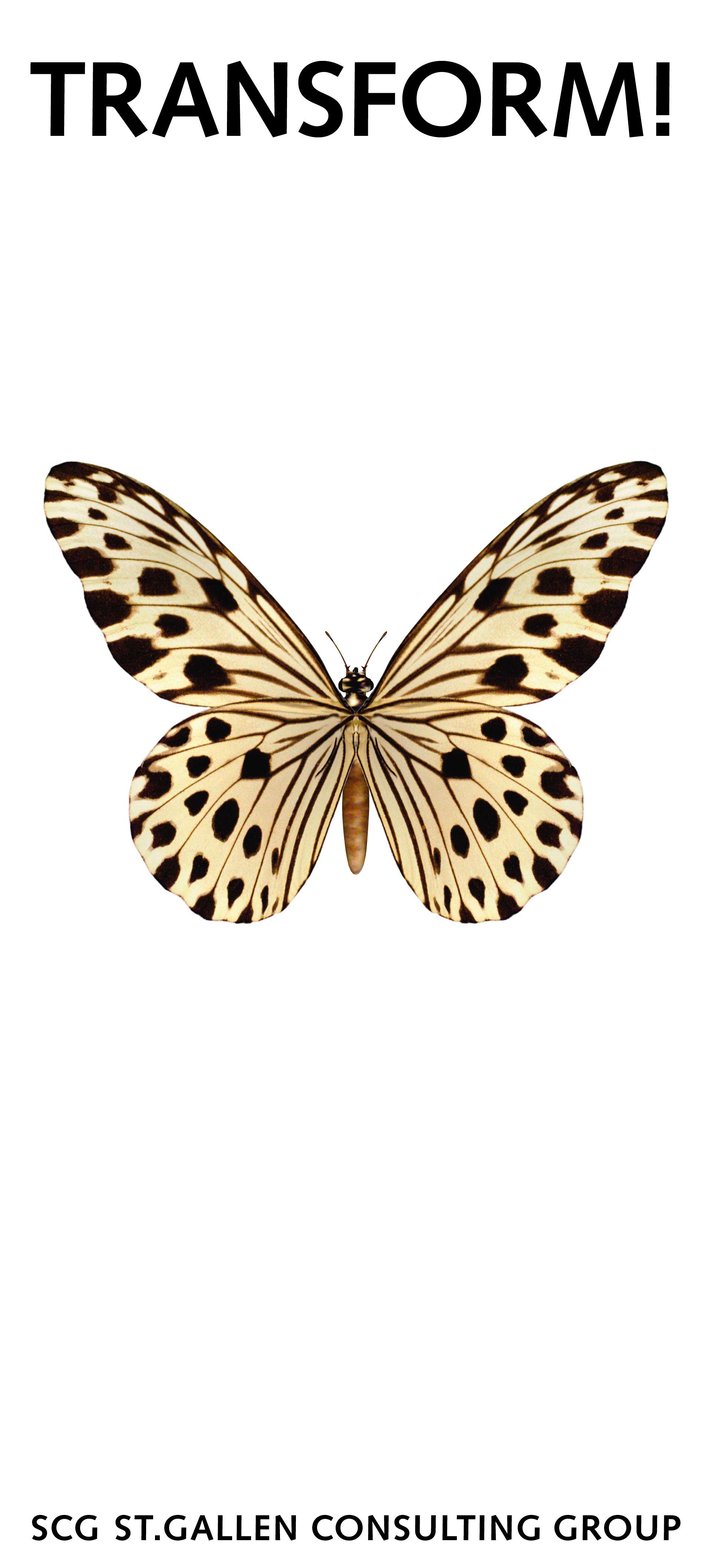 S_Transform Program