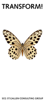 S_Transform Program