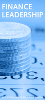 S_Finance_Leadership